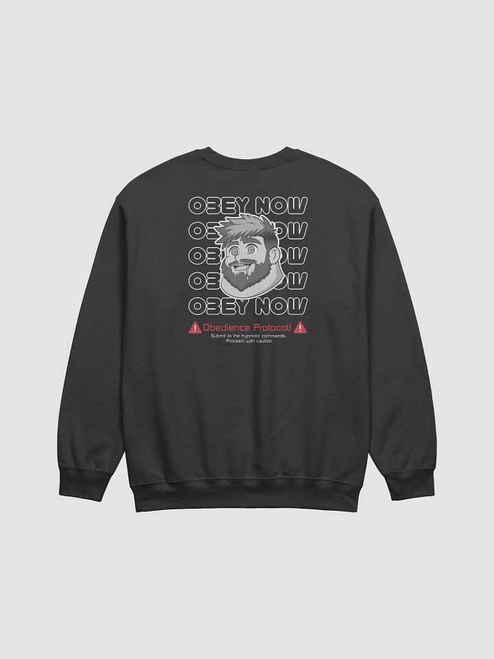 Obedience Protocol Sweatshirt product image (23)