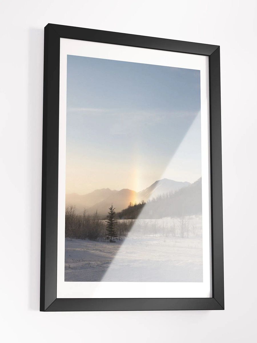 Curious Phenomenon product image (3)