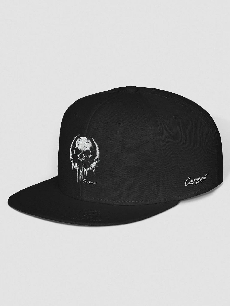 Frostbite Skull Wool Snapback product image (2)