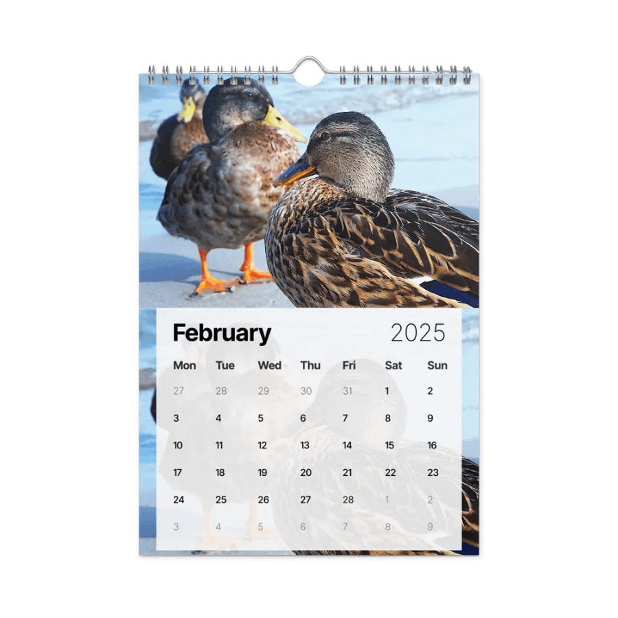 Calendar 2025 - Animals from around the world product image (6)