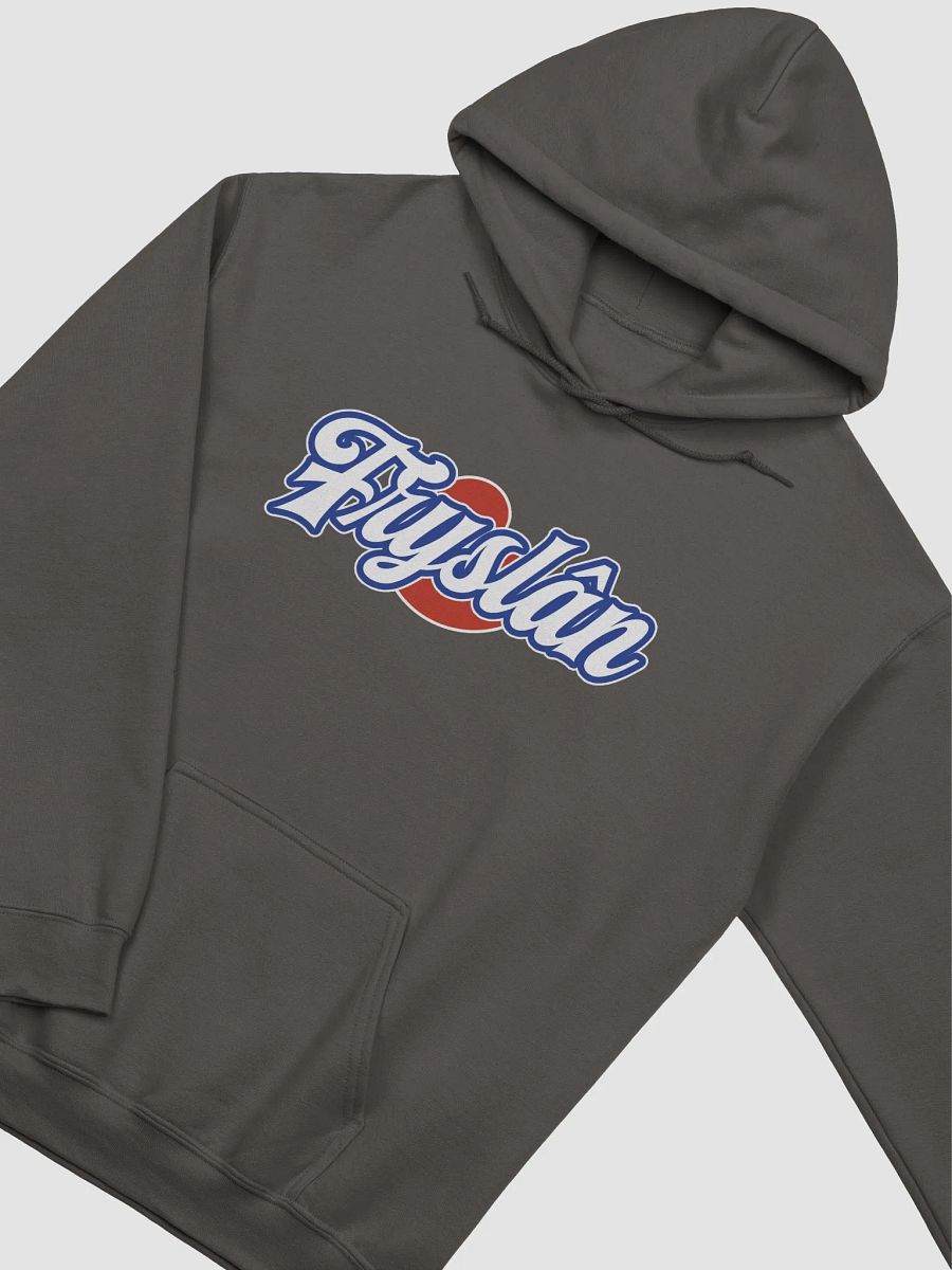 Fryslân - Hoodie product image (4)