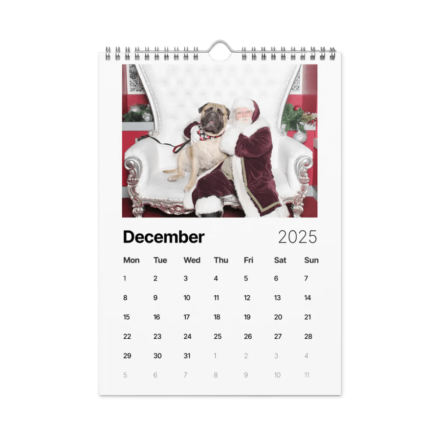 Meech 2025 Wall Calendar product image (3)