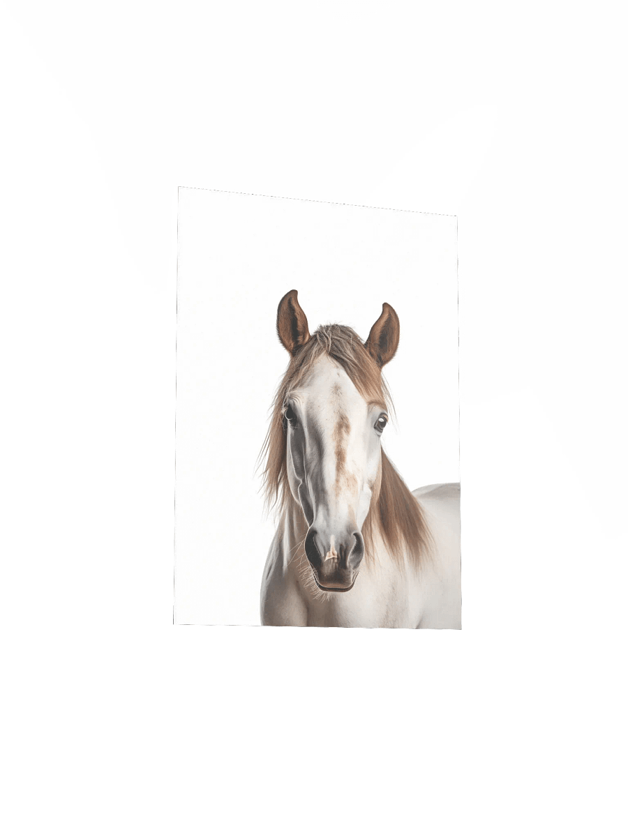 Farm Animal Spotted Horse Decor Print product image (24)