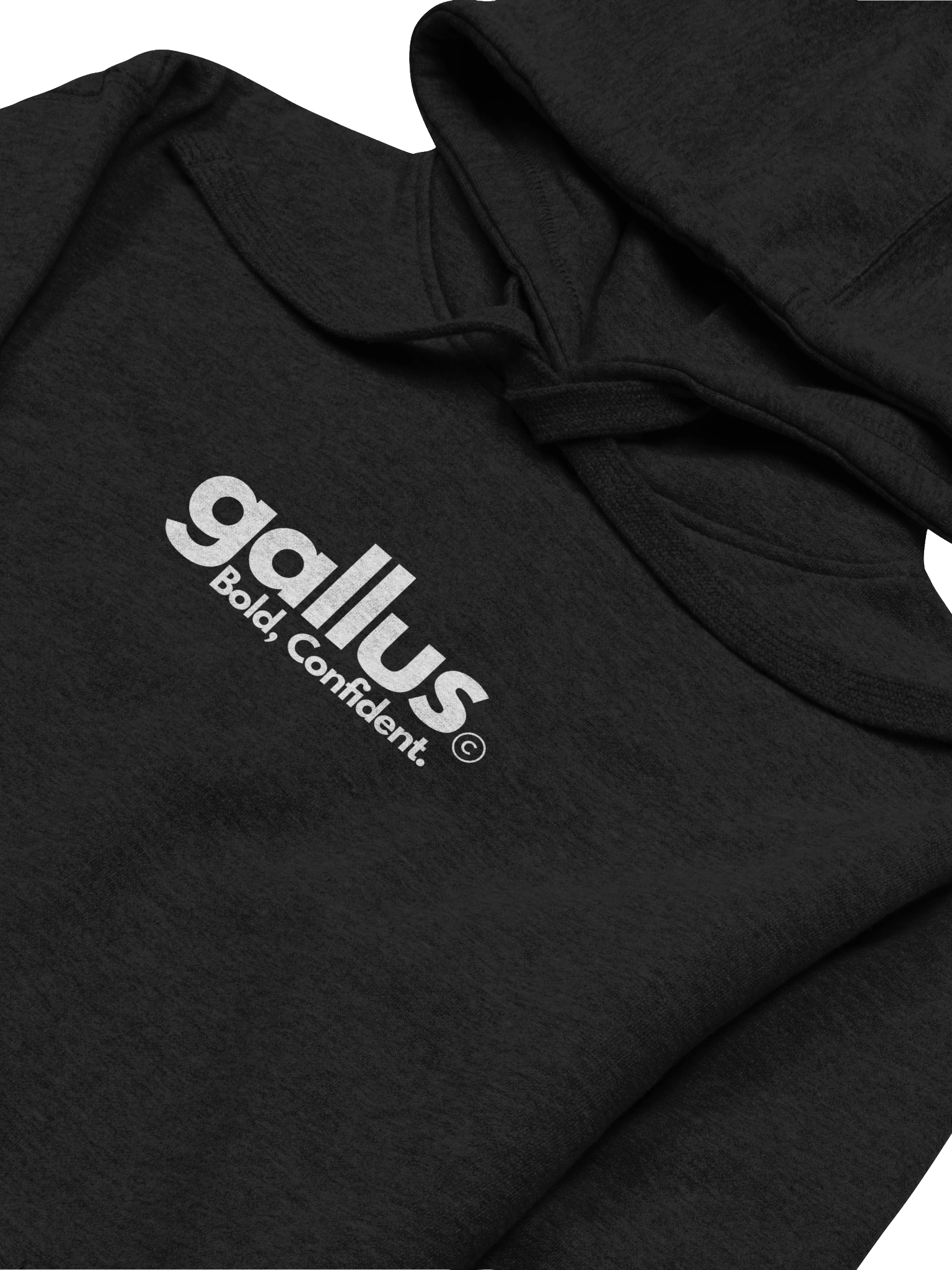 Gallus Scotland Back Print Hoodie product image (3)