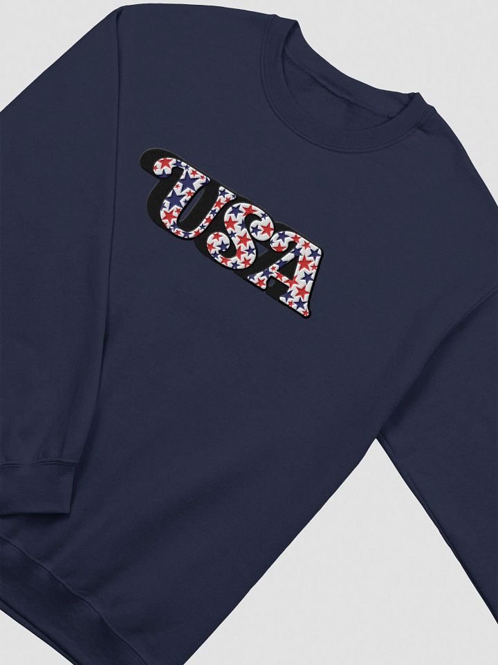 USA / SWEATSHIRT / EMBROIDERED product image (28)