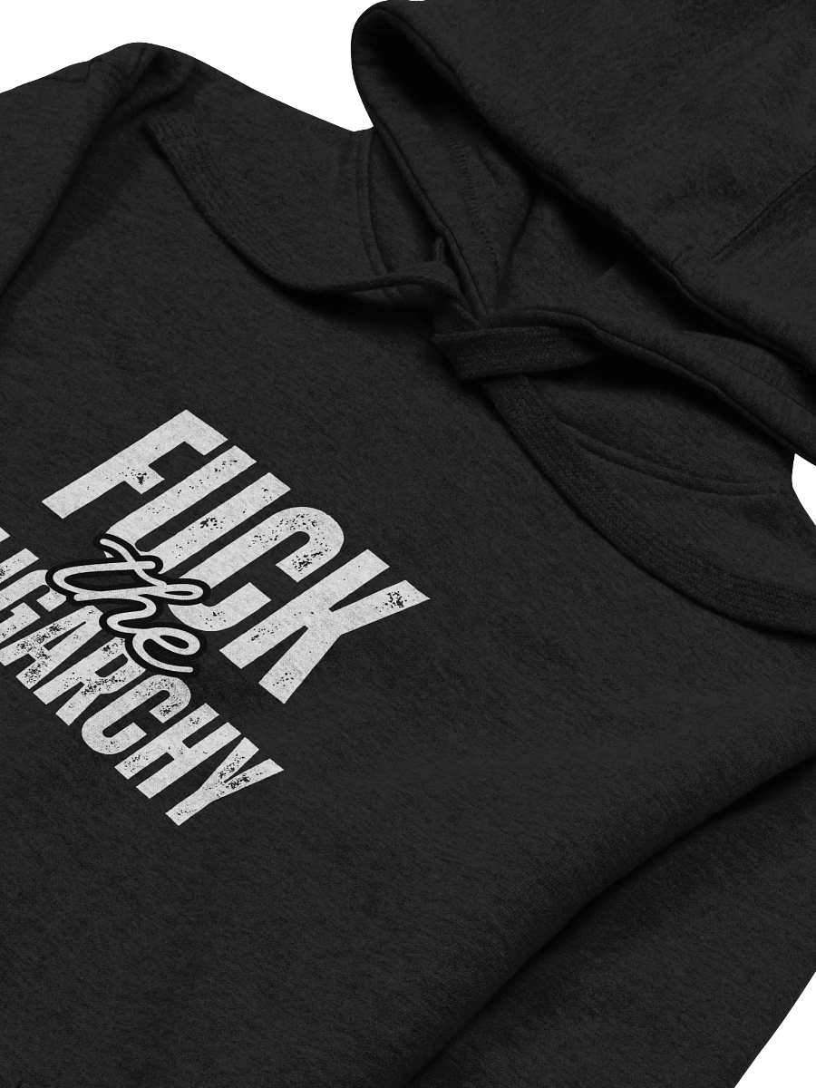 Fuck the Oligarchy Unisex Hoodie product image (26)