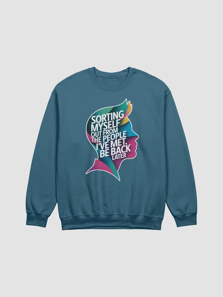 Sorting Myself Out Reflector Sweatshirt product image (1)