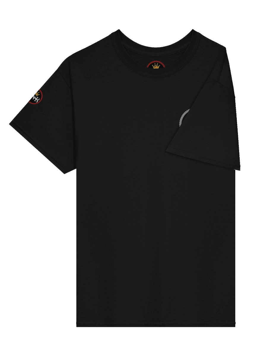 PNB Crown Logo Heavyweight Tee HOS Split product image (3)