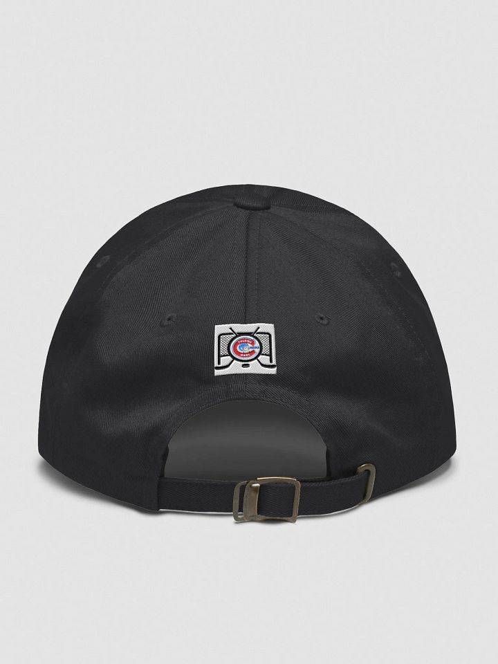 "Your Daily Fix & THM Logo" Hat product image (2)