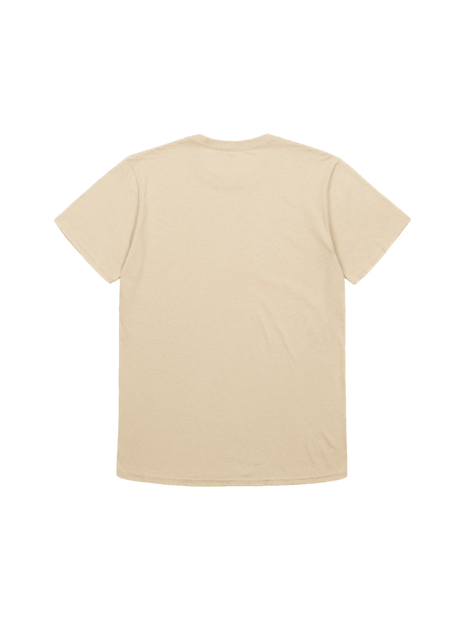 PKAT Logo T-Shirt - Light Colors product image (10)