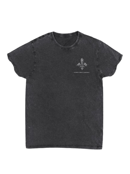 T-Shirt | Brodé product image (1)