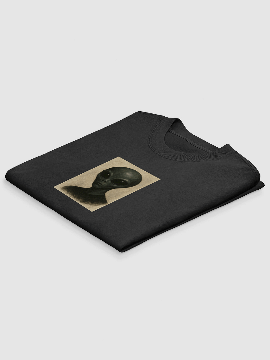 Alien Vision Oversized Tee product image (13)