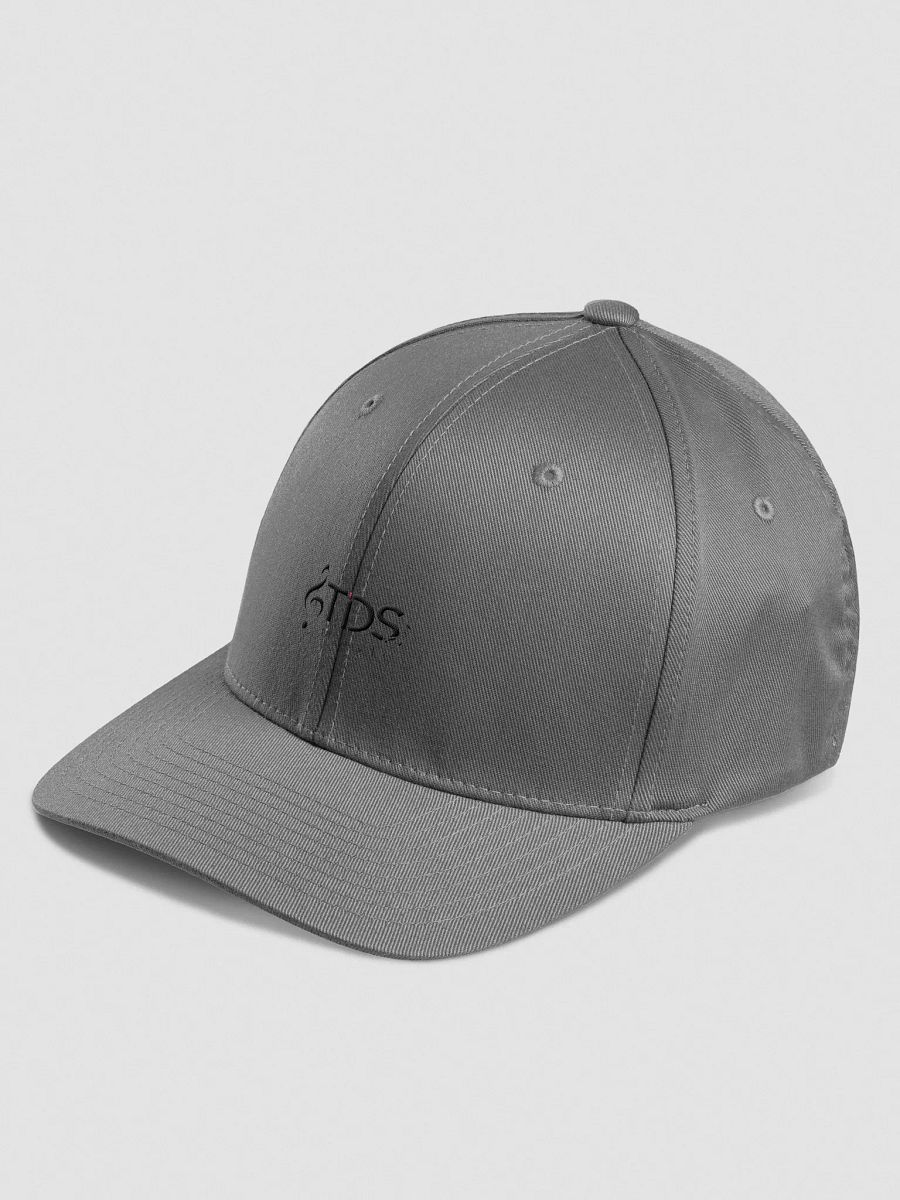 TDS Music Flexfit Cap - Structured Fitted Cap with Iconic Logo product image (32)