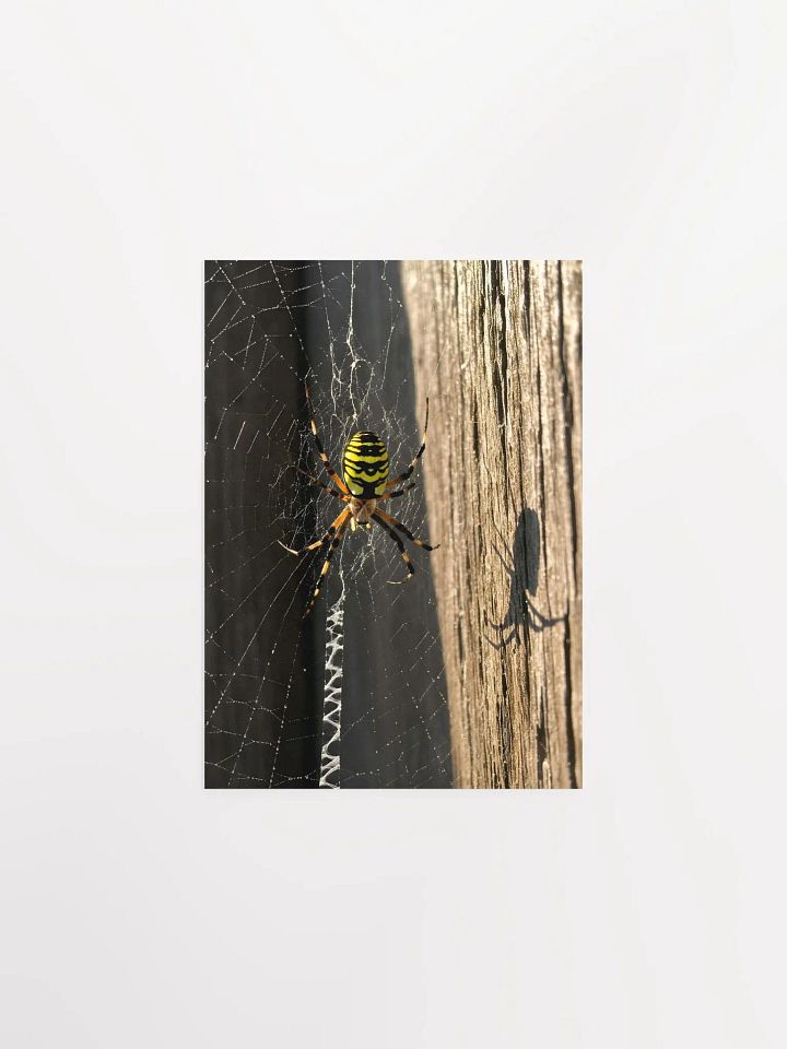 Golden Web: Yellow Garden Sentinel Poster product image (1)
