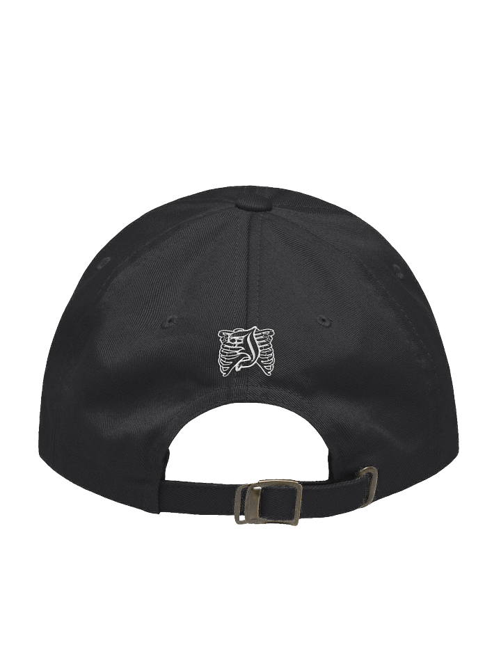 FN Dad Hat product image (2)