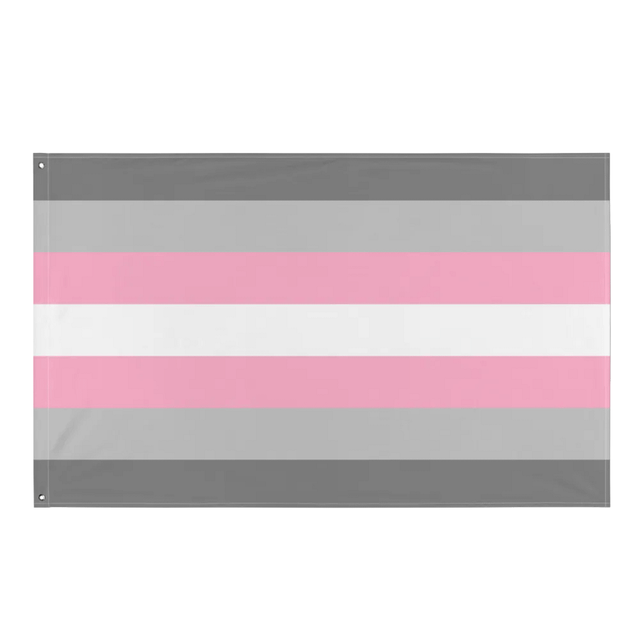 Demigirl Pride Flag product image (1)