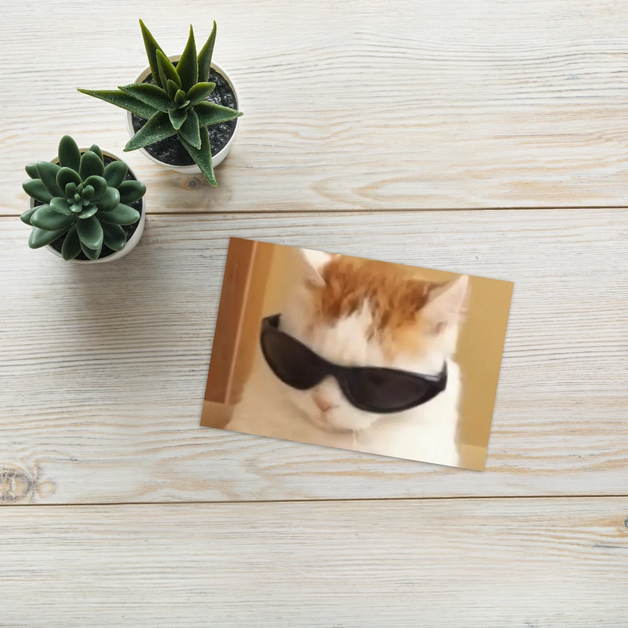 Greeting Card: Meme Cats product image (25)