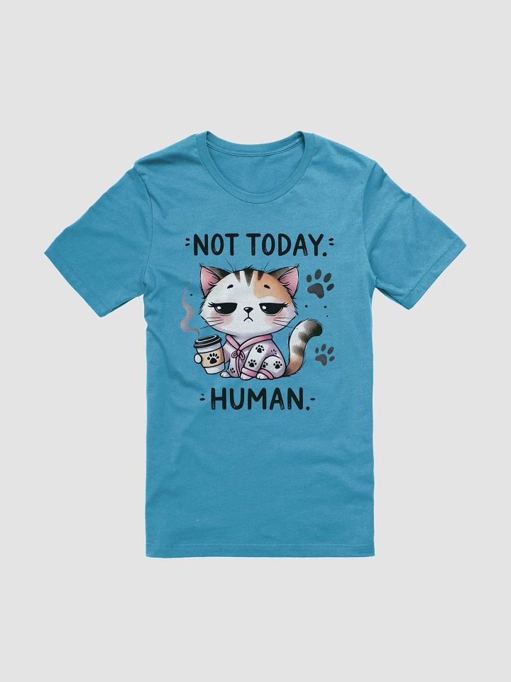 "Not Today, Human" Lazy Cat T-Shirt product image (1)