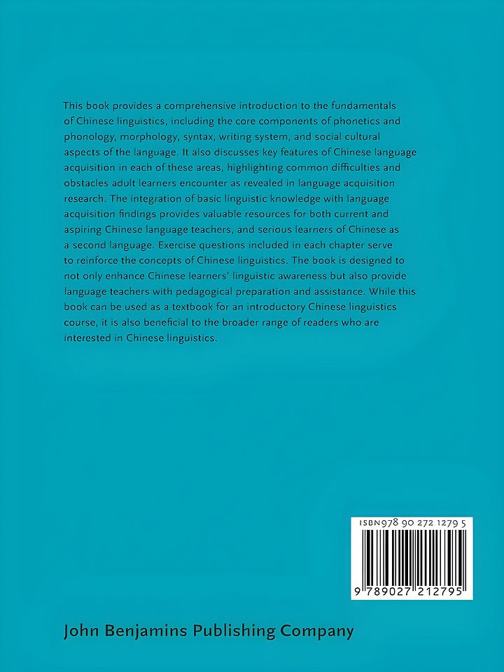 📘 Master Chinese Linguistics with This Essential Handbook! 🎓🇨🇳 product image (2)