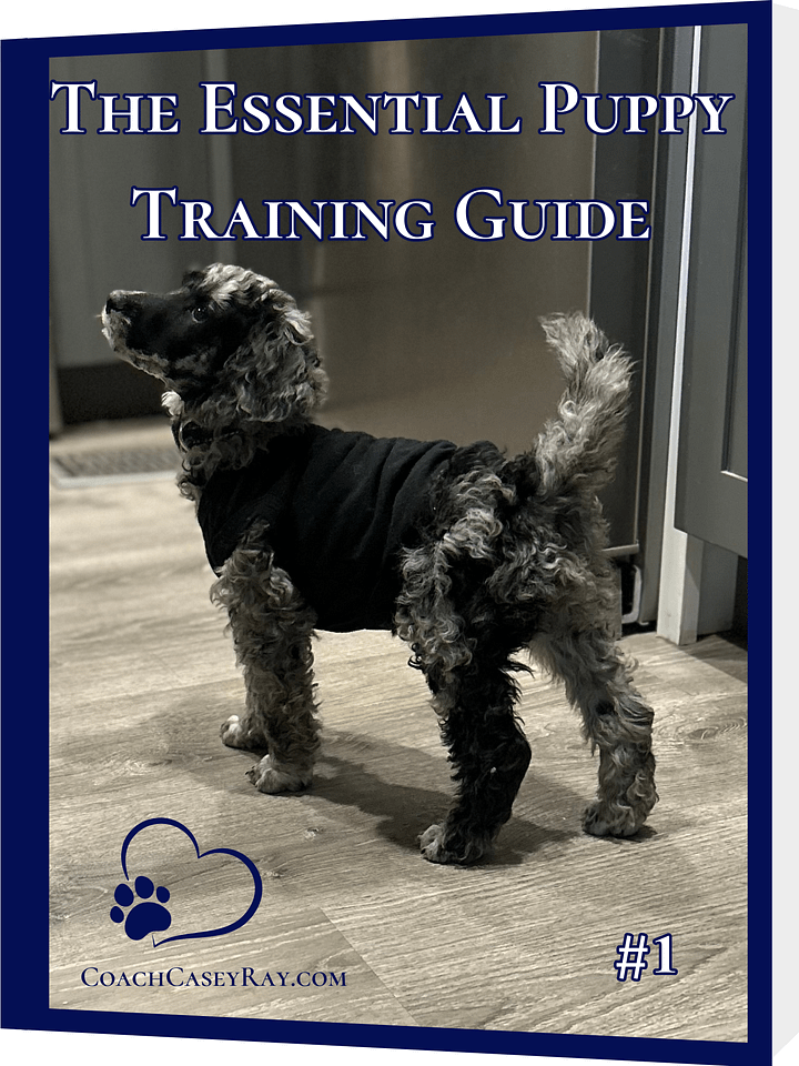 Dream Puppy™ Bundle 6-Pack product image (1)