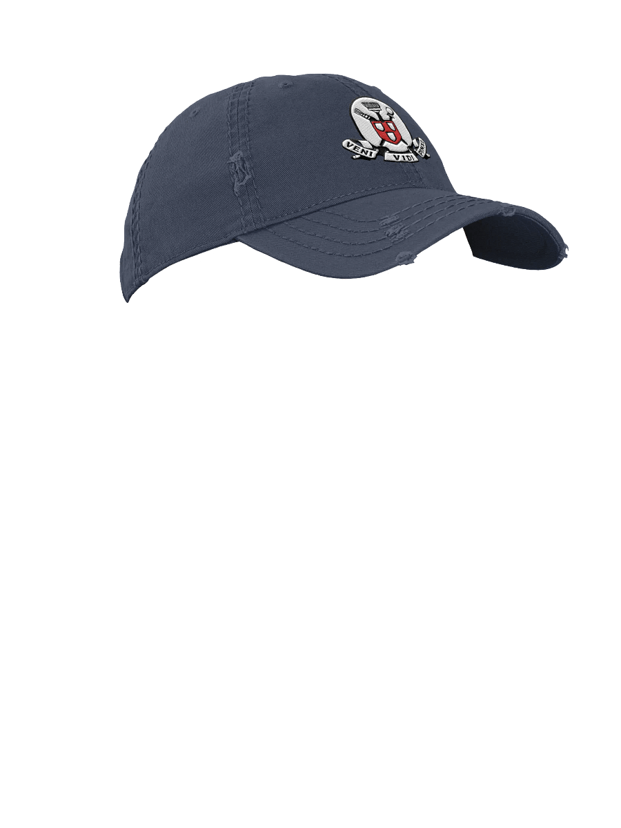 Distressed Dad Hat - Artisan product image (7)