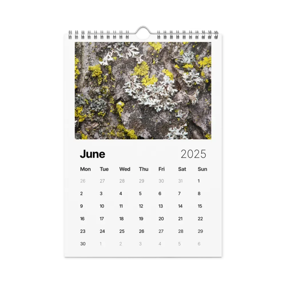 Likin' Lichen 2025 Wall Calendar product image (7)