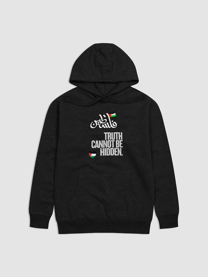 Truth Unveiled Hoodie | Truth cannot be hidden product image (7)