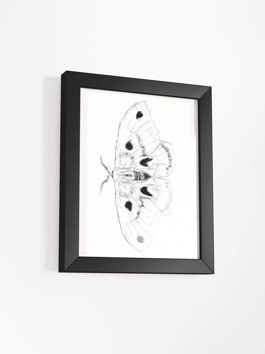 Cecropia Moth Print product image (6)