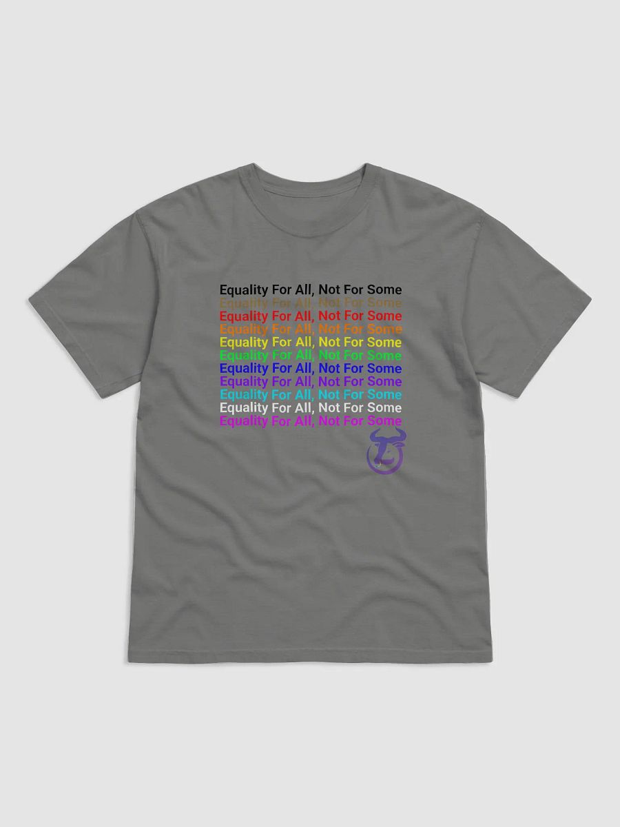 Equality For All, Not For Some T-Shirt product image (1)
