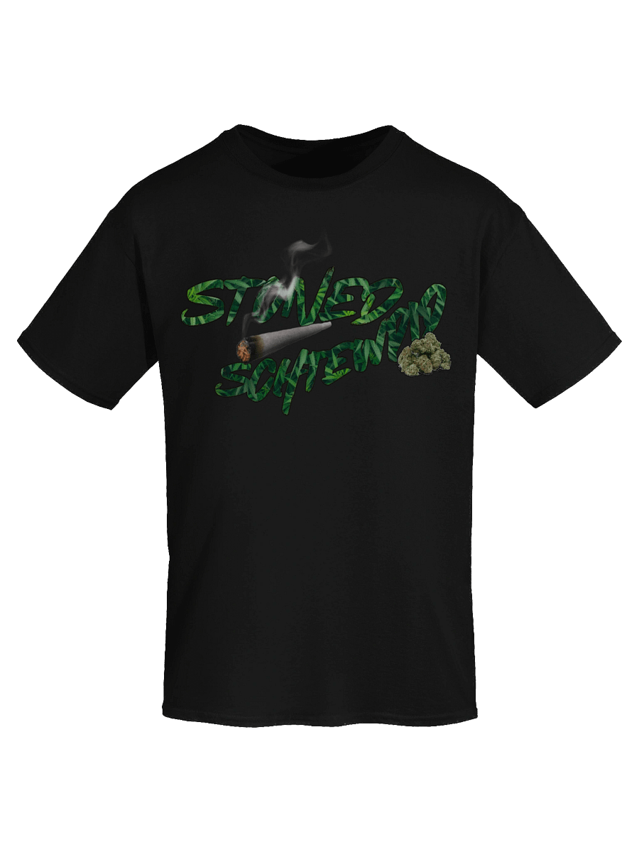 Stoned Schtewpid Tee product image (44)