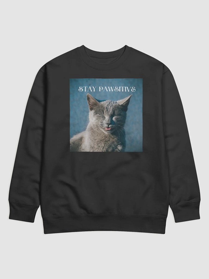 Pawsitivity Premium Sweatshirt product image (1)