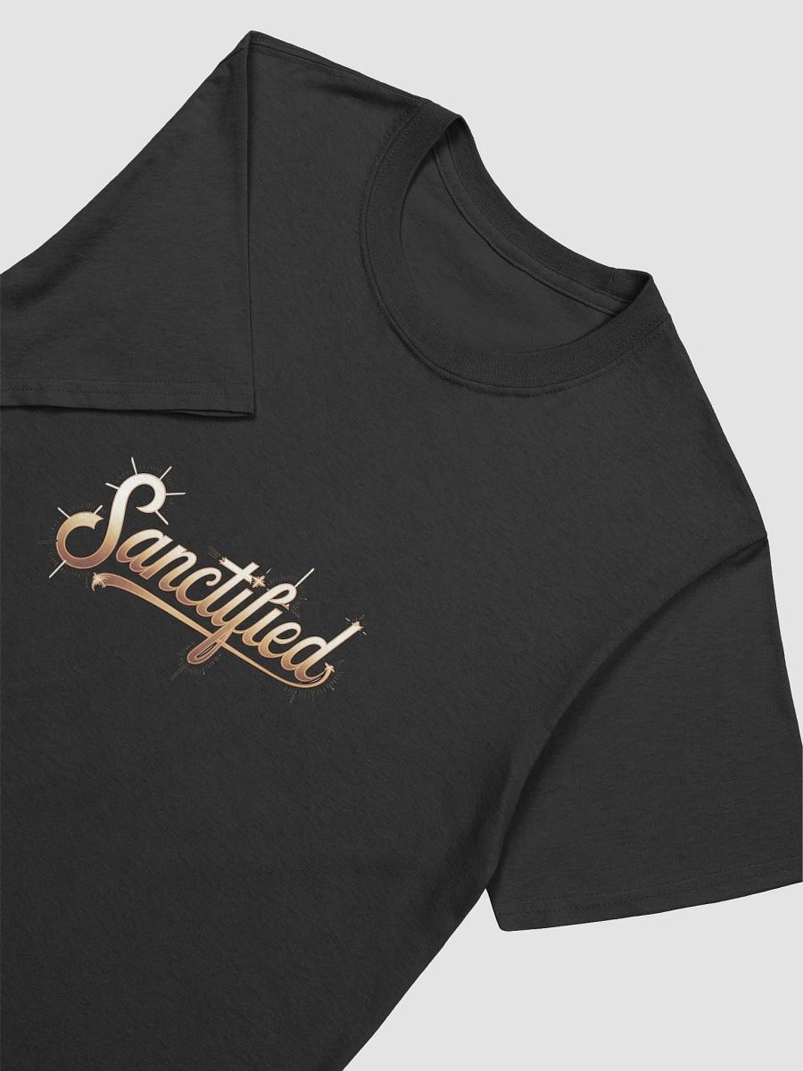 Sanctified Tee Unisex product image (15)