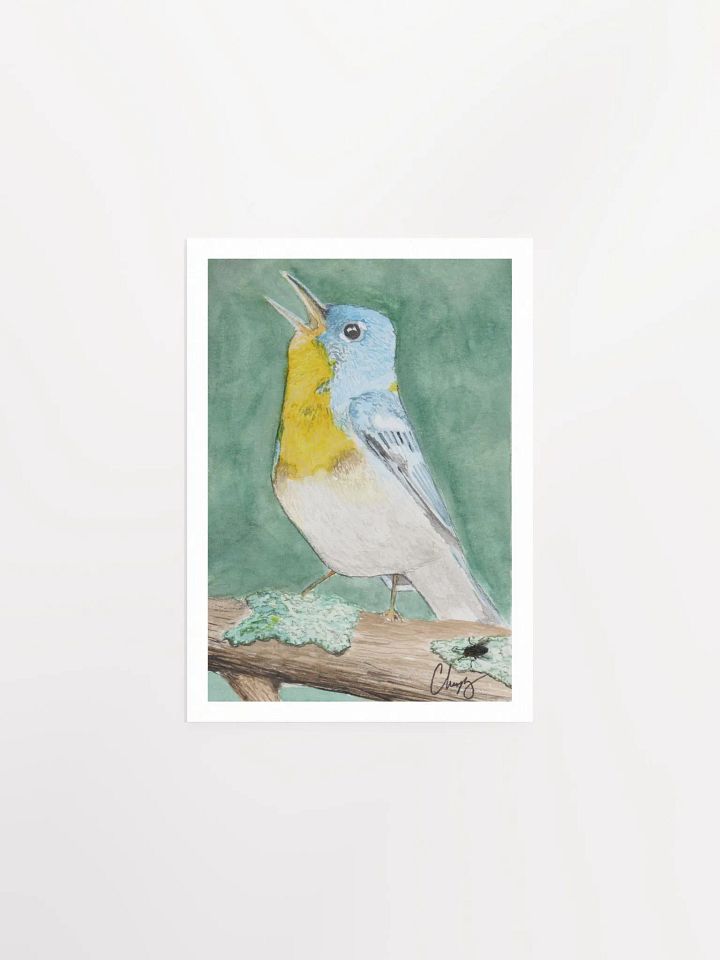 Northern Parula Warbler Print product image (1)