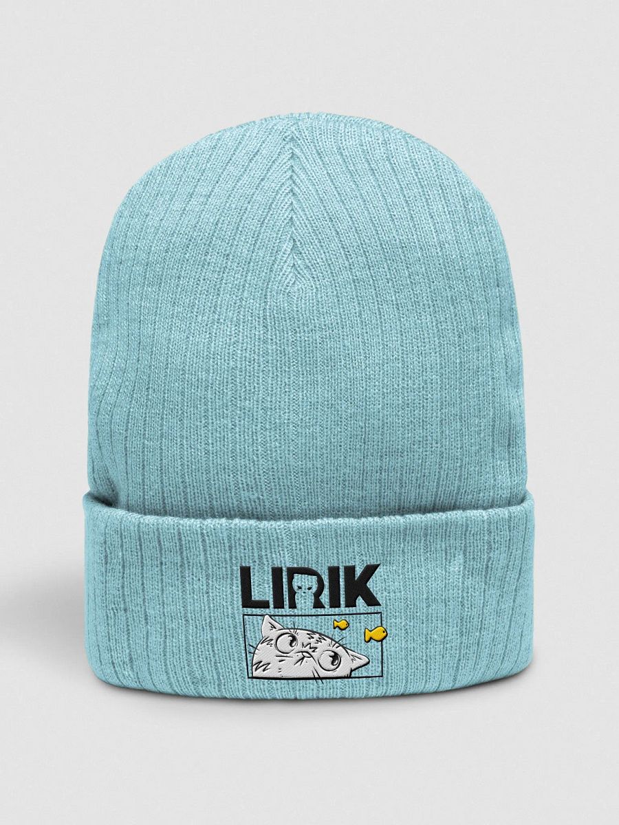 Fish Bowl Beanie product image (1)