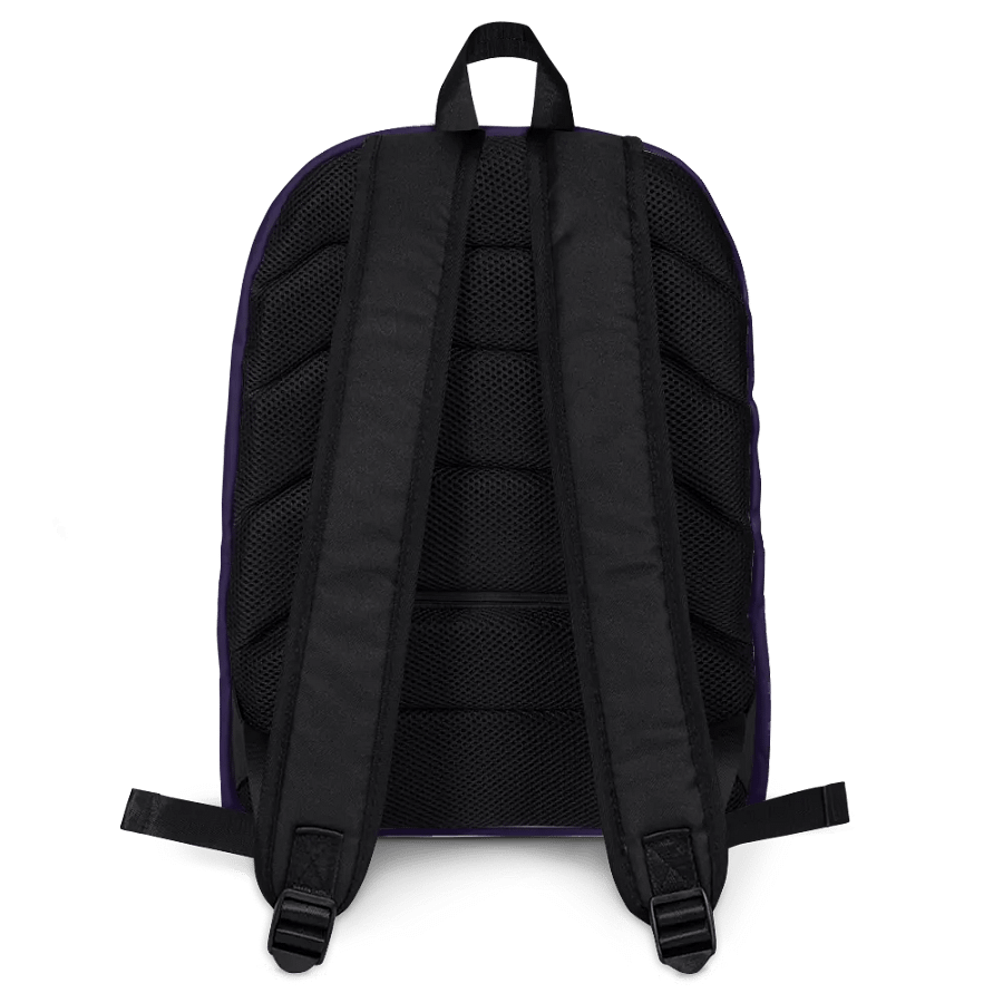 Revx Lvl 1 product image (4)
