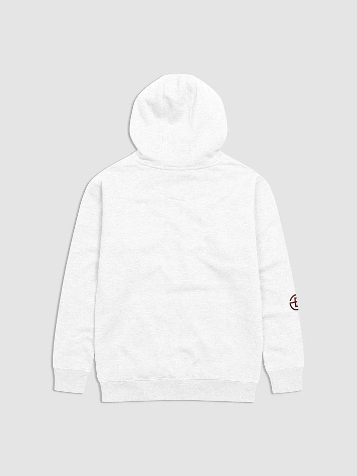 ITS THE TRUTH HOODIE product image (2)