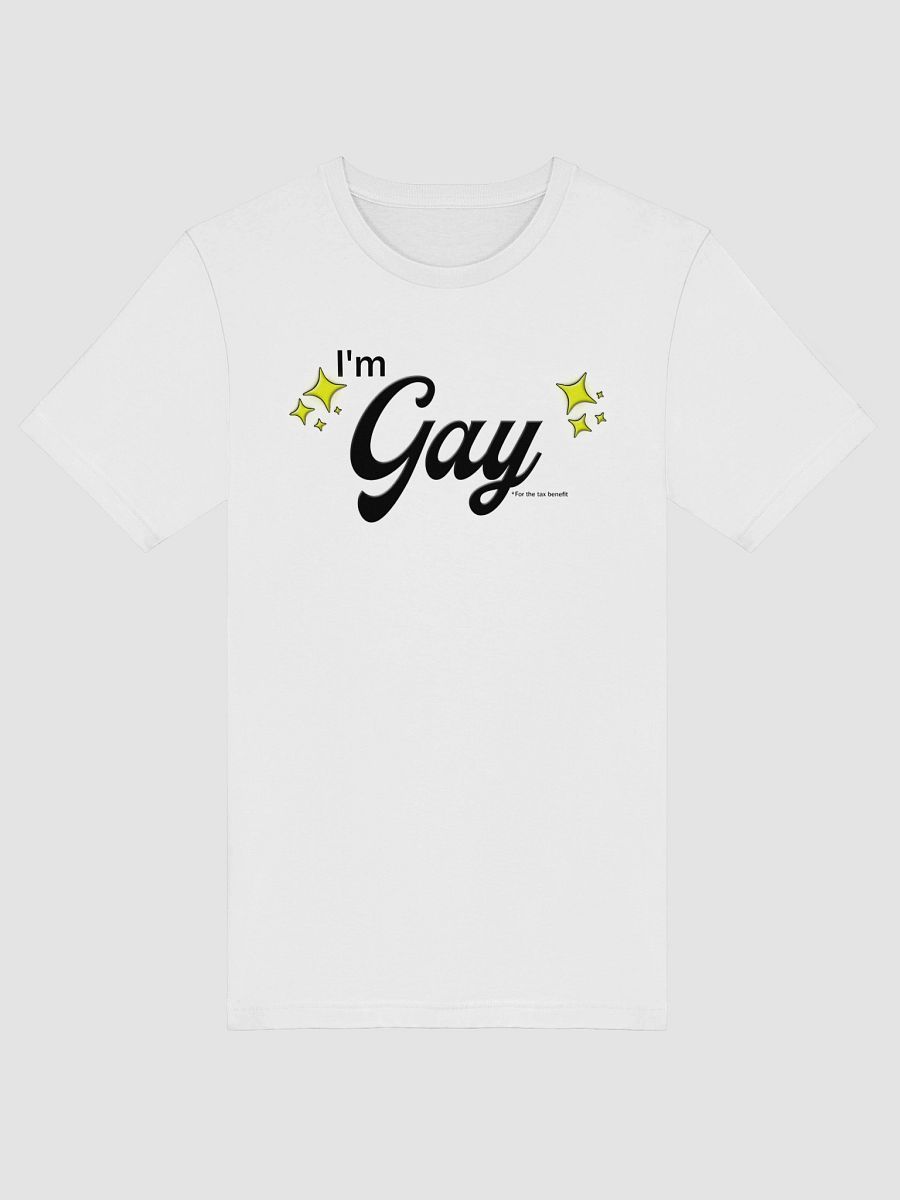 I'm Gay (for the tax benefit) Charity Tee product image (5)