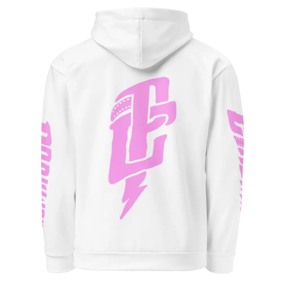 PARKWAY CINEMA "SOBER" HOODIE product image (3)