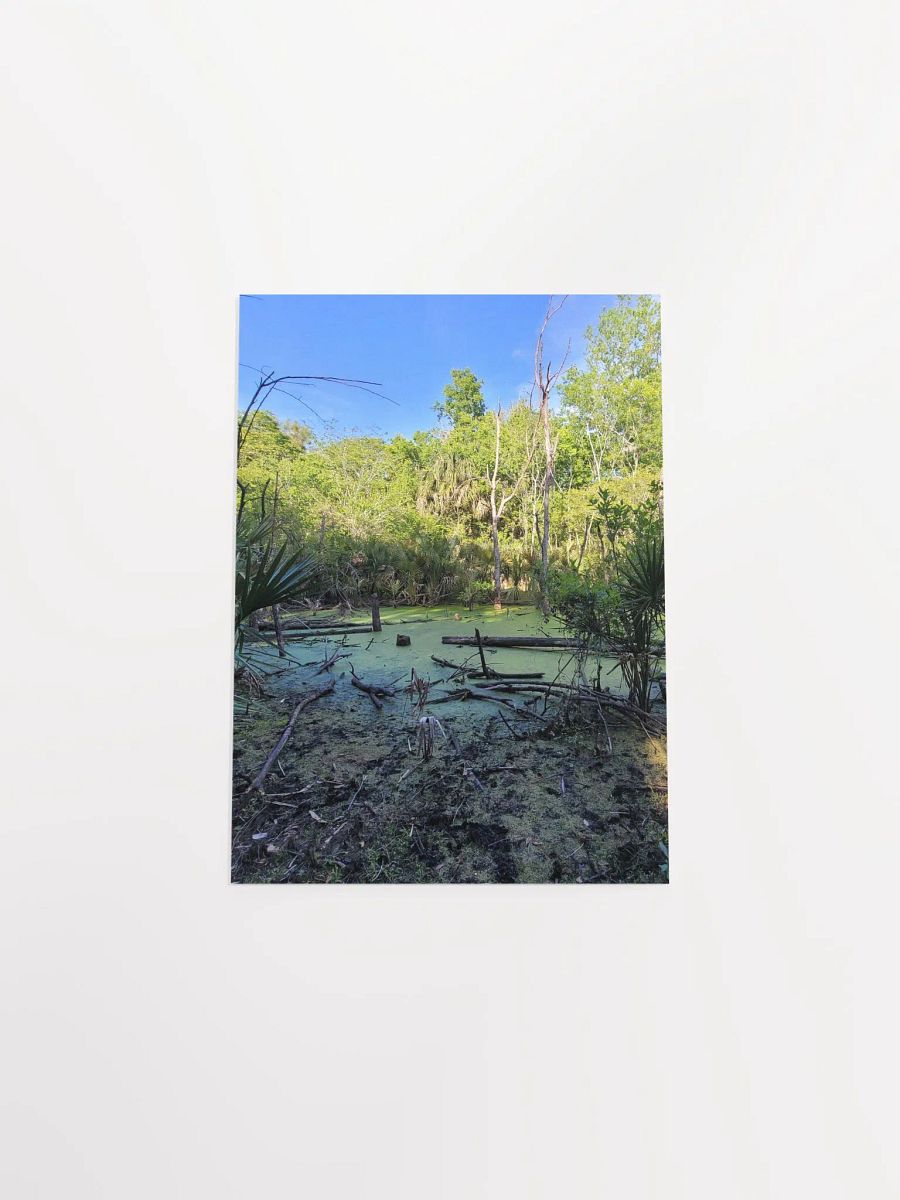 FL Swamp product image (47)