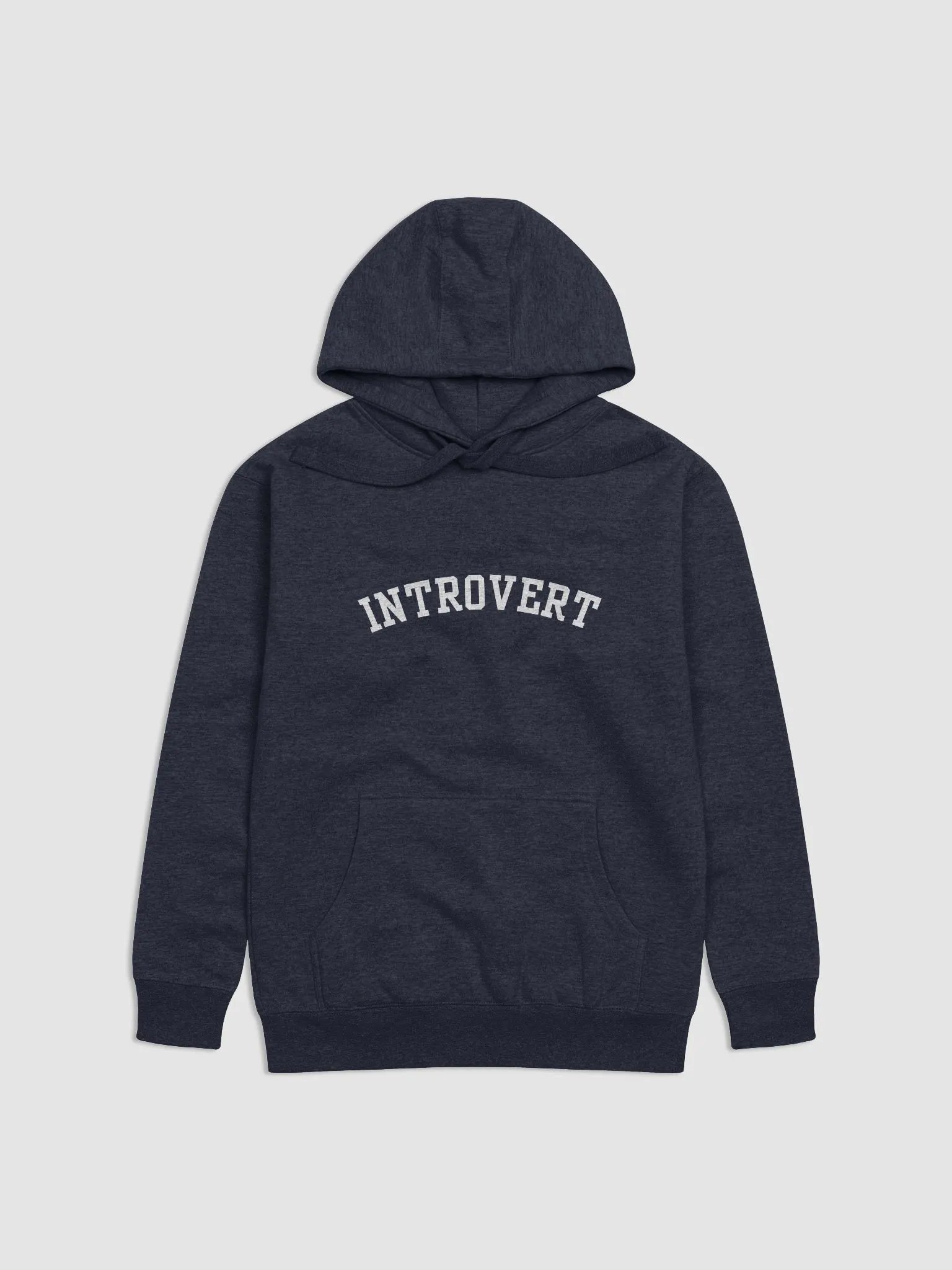 Introvert Hoodie product image (1)