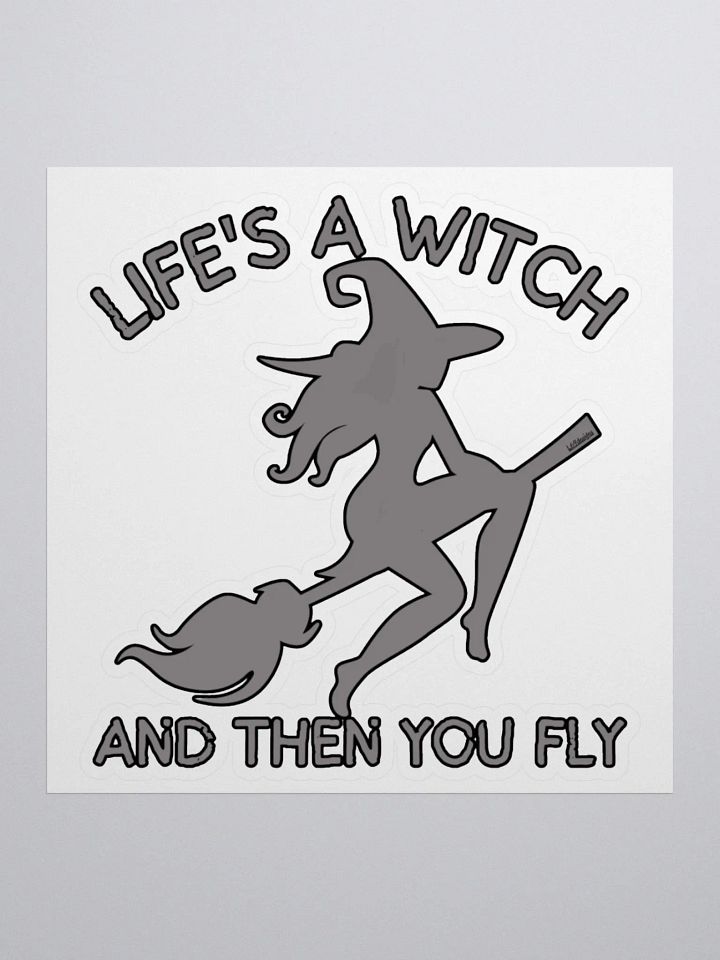 LIFE'S A WITCH AND THEN YOU FLY product image (2)