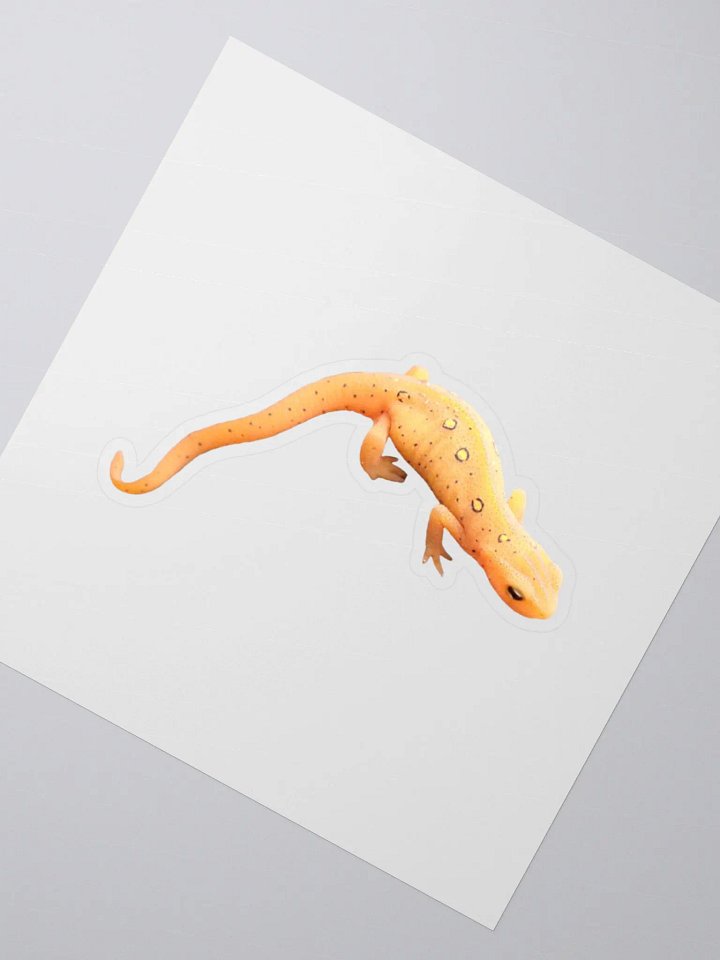 Eastern Newt Kiss Cut Stickers product image (4)