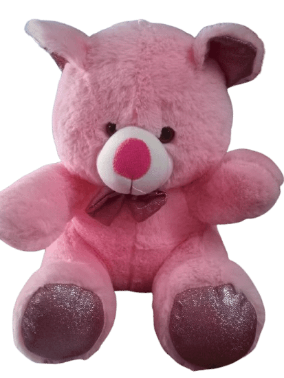 TEDDY BEAR product image (3)