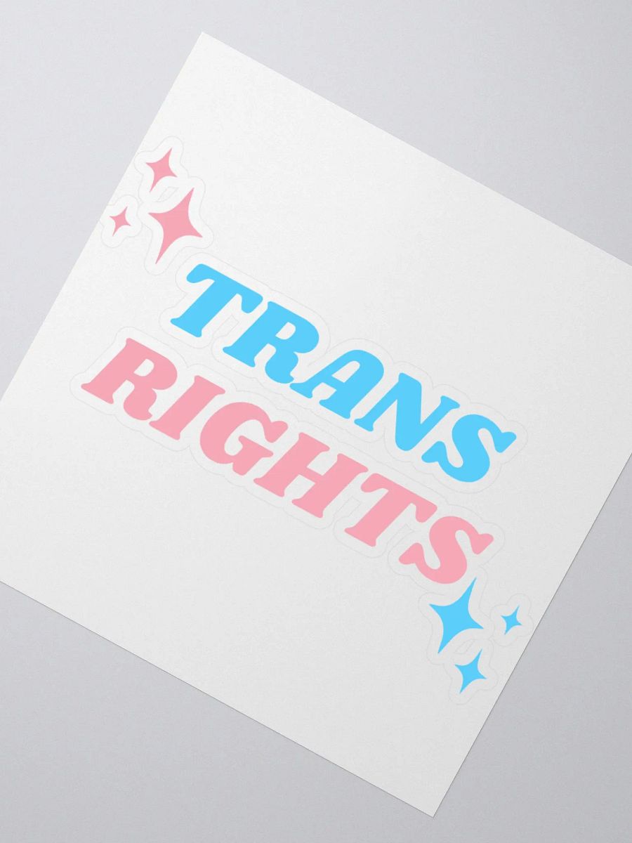 Trans Rights Sticker product image (2)