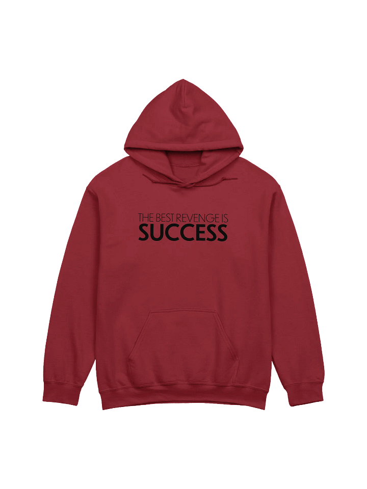The Best Revenge is Success Hoodie product image (2)
