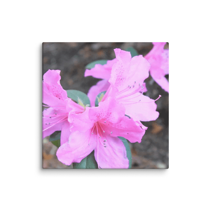 A Study in Flowers 1 product image (33)