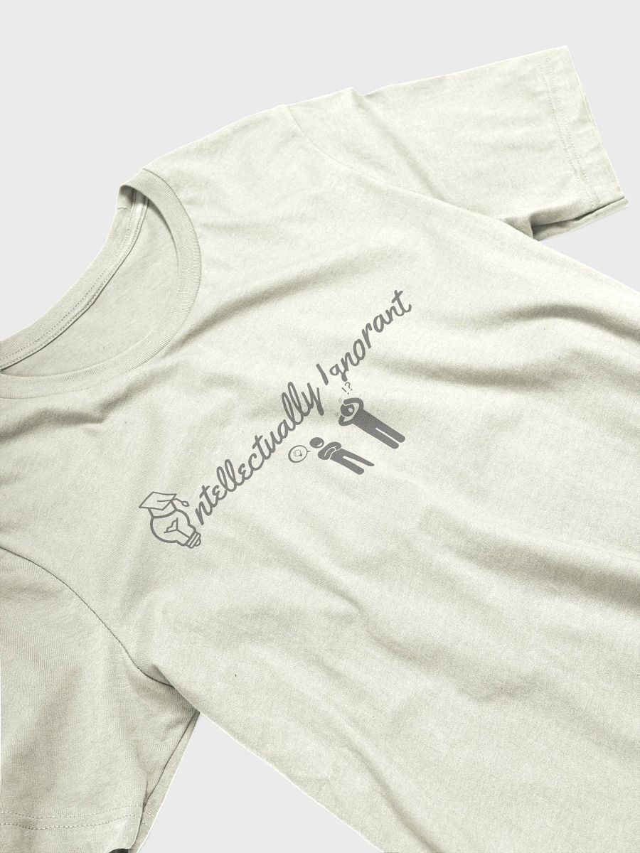 Intellectually Ignorant (GREY LOGO) Tee Shirt product image (30)