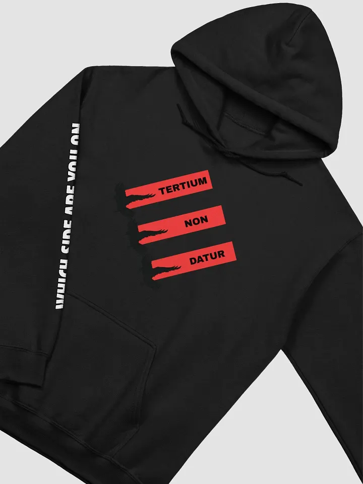 LIMITED - No Third Way Hoodie product image (2)