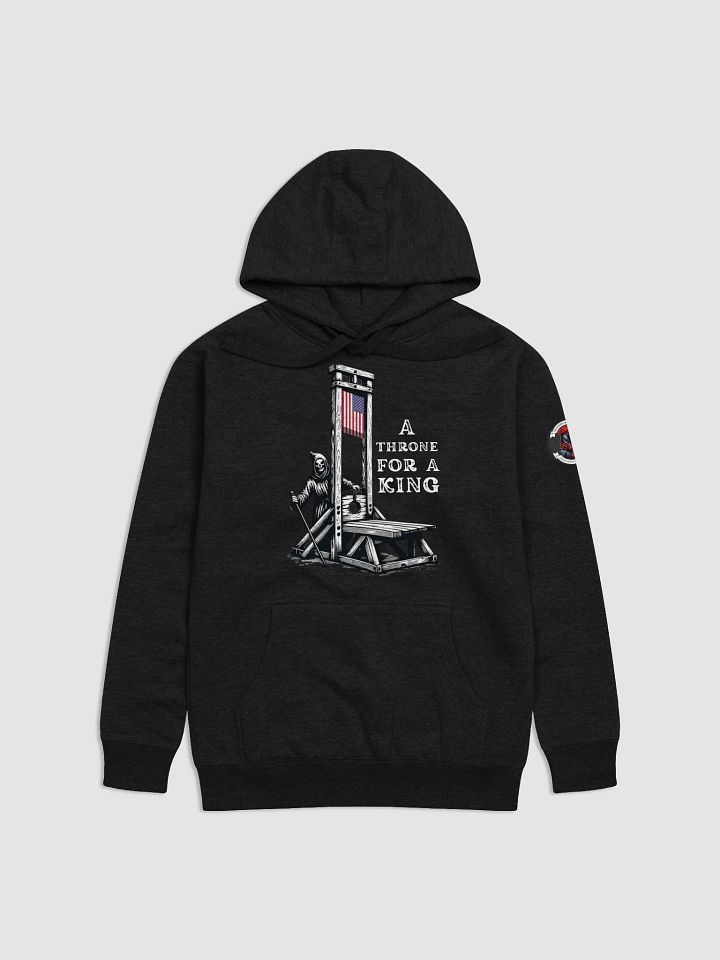LIMITED - JUNE 2025 - FLAG DAY - NO KINGS - HOODIE product image (4)
