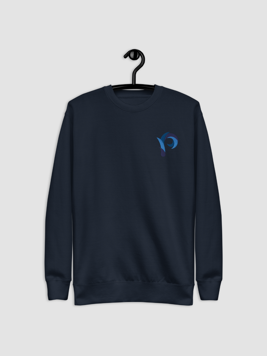 PP Sweater - Slim // Embroidered product image (3)